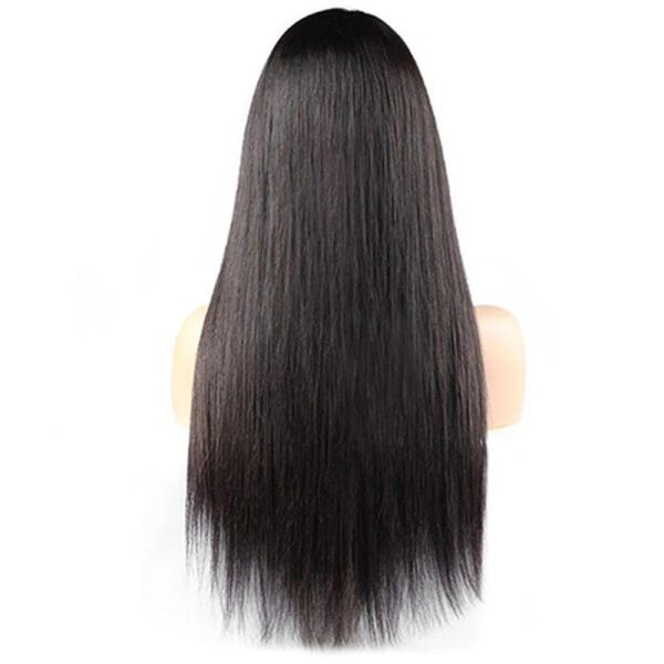 Real Brazilian Straight Hair Wigs 4x4 Lace Front Wigs Pre Plucked Hairline