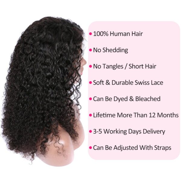 4x4 Lace Closure Human Hair Wigs Brazilian Curly Hair Wigs Pre Plucked With Baby Hair