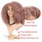 L Part Kinkys Curly Afro Lace Front Wigs Synthetic Heat Resistant Wigs for Women