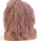 L Part Kinkys Curly Afro Lace Front Wigs Synthetic Heat Resistant Wigs for Women