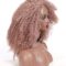 L Part Kinkys Curly Afro Lace Front Wigs Synthetic Heat Resistant Wigs for Women