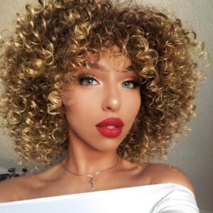 Afro Wigs For Black Women Short Kinky Curly Full Wigs Brown Mixed Blonde Synthetic Wigs