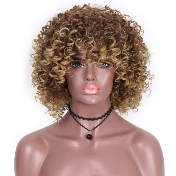 Afro Wigs For Black Women Short Kinky Curly Full Wigs Brown Mixed Blonde Synthetic Wigs