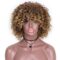 Afro Wigs For Black Women Short Kinky Curly Full Wigs Brown Mixed Blonde Synthetic Wigs