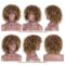 Afro Wigs For Black Women Short Kinky Curly Full Wigs Brown Mixed Blonde Synthetic Wigs