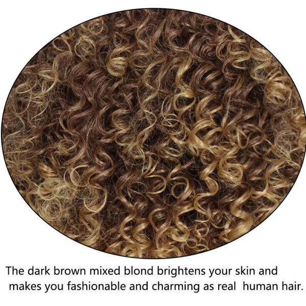 Afro Wigs For Black Women Short Kinky Curly Full Wigs Brown Mixed Blonde Synthetic Wigs