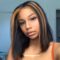 Highlight Short Bob Straight Hair Wigs Mixed Color 13×4 Lace Front Human Hair Wigs