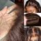 Glueless Light Brown Body Wave 4x4 13x4 13x6 HD Lace Front Wigs Human Hair 180% Density