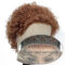 Pixie Cut Wig Human Hair 8inch Short Curly 13x1 T Part Wigs for Women
