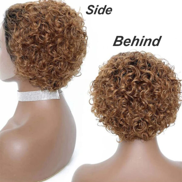 Pixie Cut Wig Human Hair 8inch Short Curly 13x1 T Part Wigs for Women