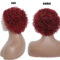 Pixie Cut Wig Human Hair 8inch Short Curly 13x1 T Part Wigs for Women
